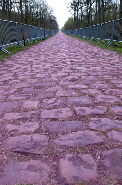 Paris Roubaix pink